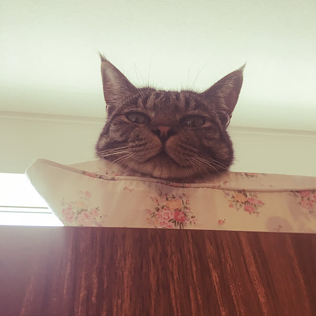 KANさんの実例写真