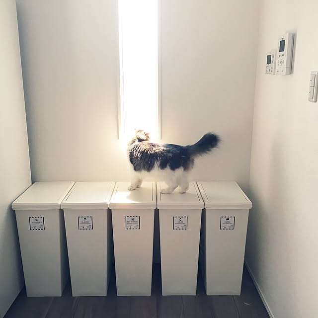 yumi_nekoさんの実例写真