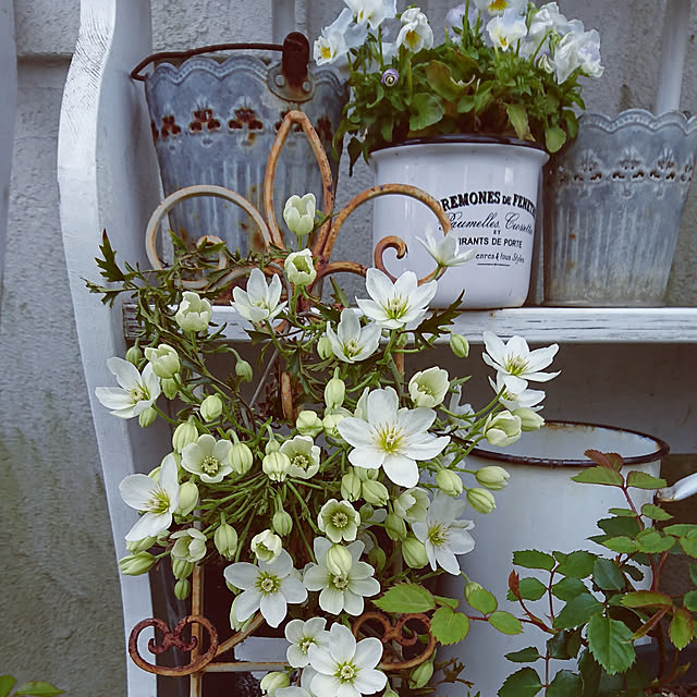kiyosukeさんの実例写真