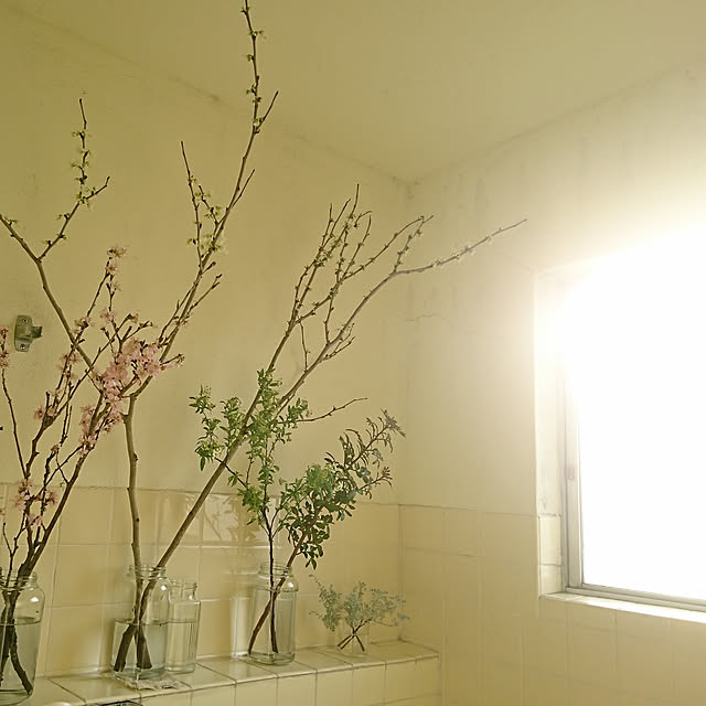 roseminaさんの部屋