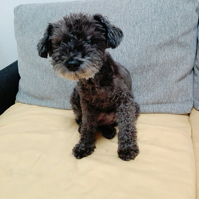 chachaさんの実例写真