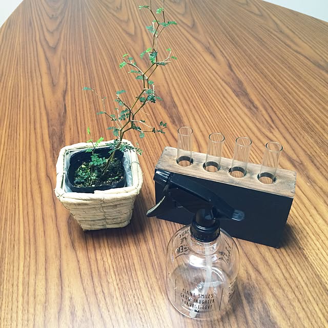 机/フラワーベース/二人暮らし/TECTA/観葉植物...などのインテリア実例 - 2016-03-21 23:26:06