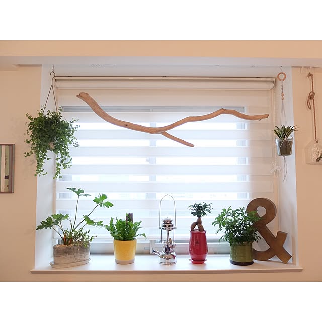 hara0707さんの実例写真