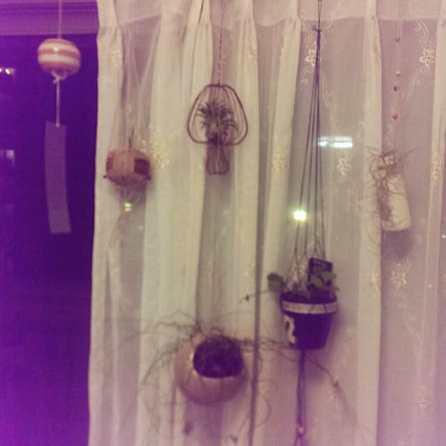 Masakoさんの実例写真