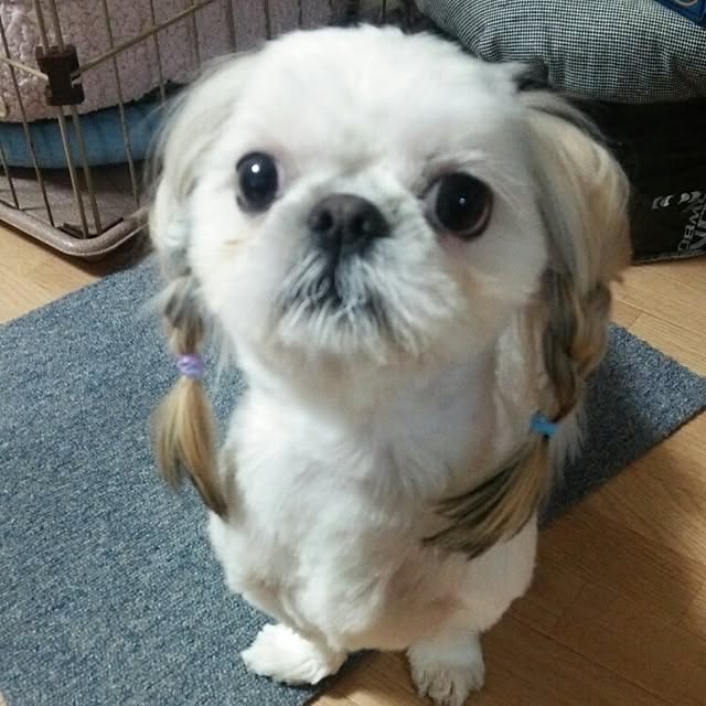 Reiさんの実例写真