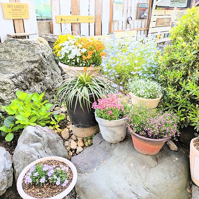 tomoさんの部屋