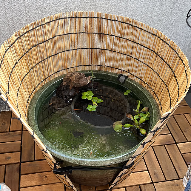 sosojeeさんの部屋