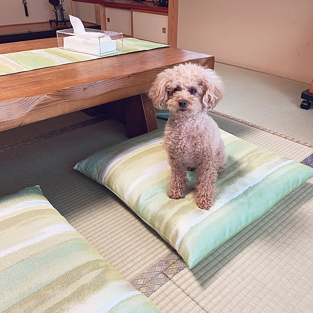 Momoさんの実例写真