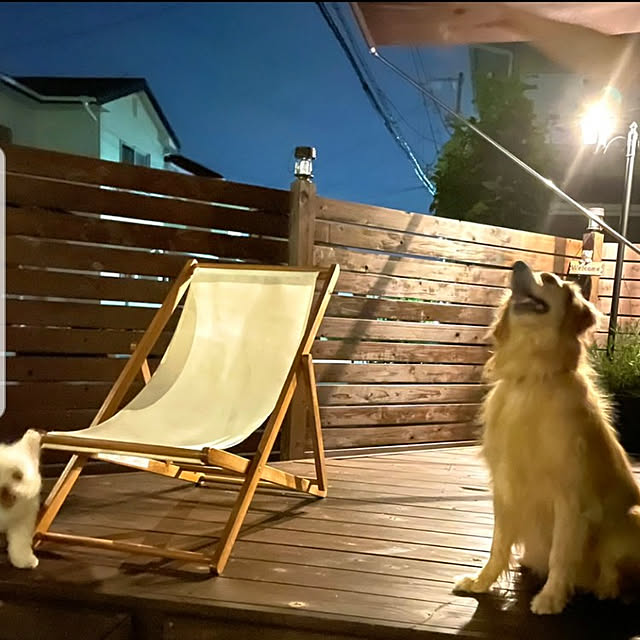 Mayaさんの実例写真