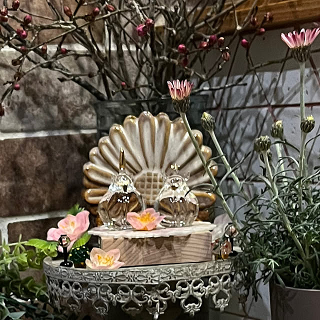 cotaさんの部屋