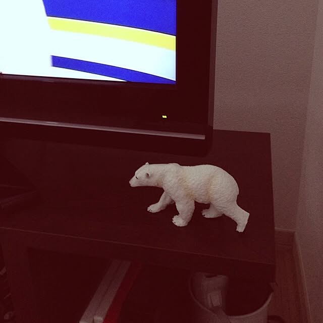 hashiさんの実例写真