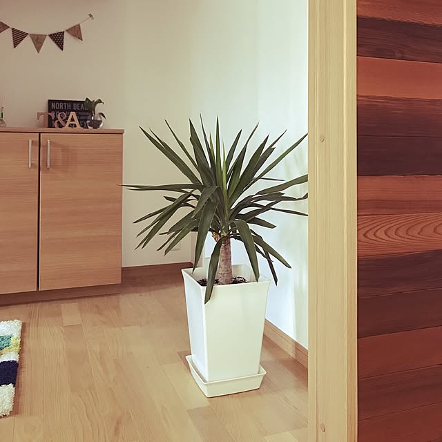 玄関/入り口/アルファベットオブジェ/玄関マット/ユッカ/観葉植物...などのインテリア実例 - 2017-06-01 16:09:43