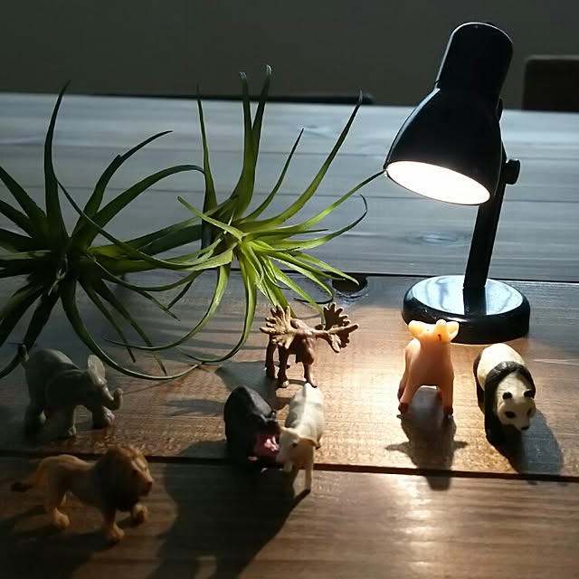 naowさんの実例写真