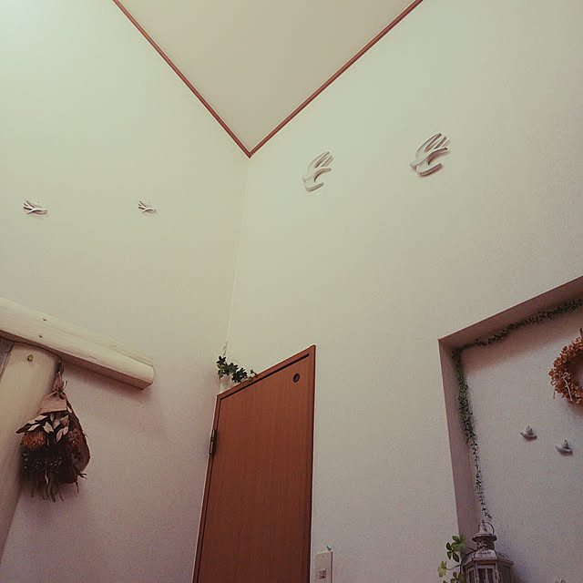 naonaoさんの実例写真