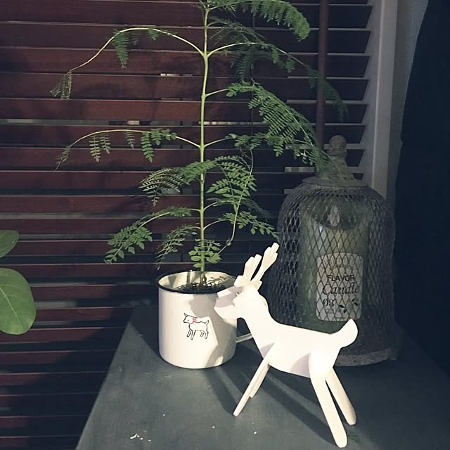 harutoikaさんの実例写真