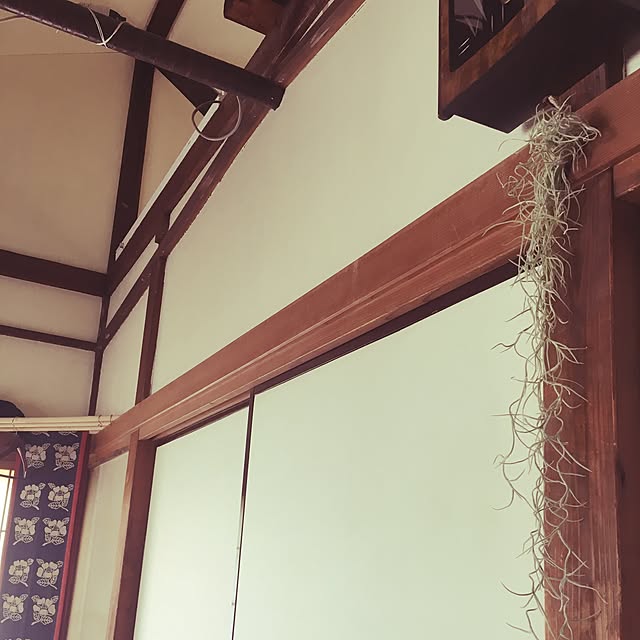 cantiamoさんの実例写真