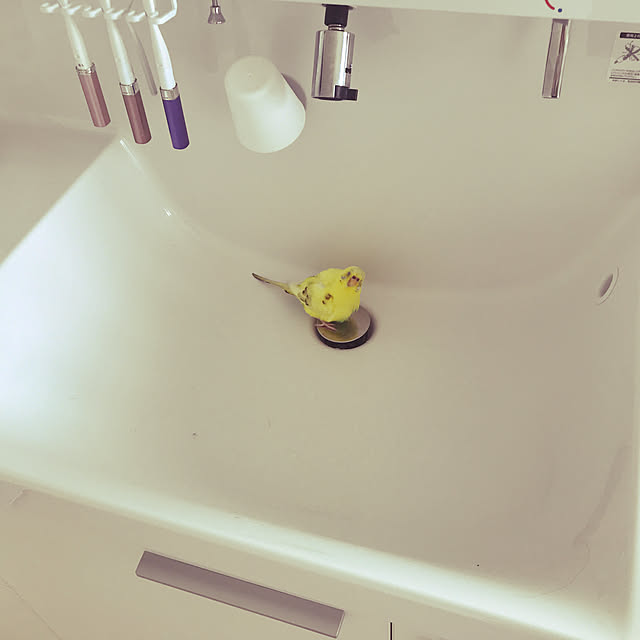 chiさんの実例写真
