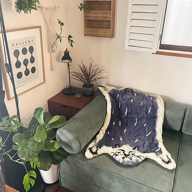 kuroさんの実例写真