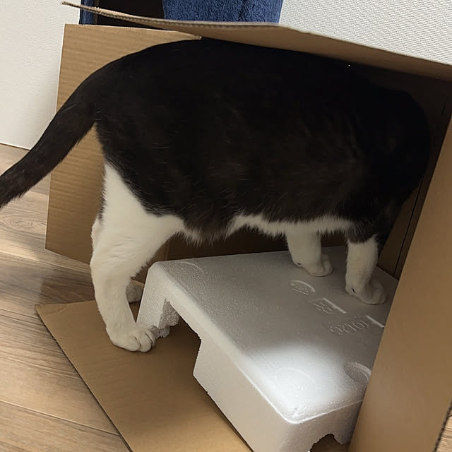 RYOさんの部屋