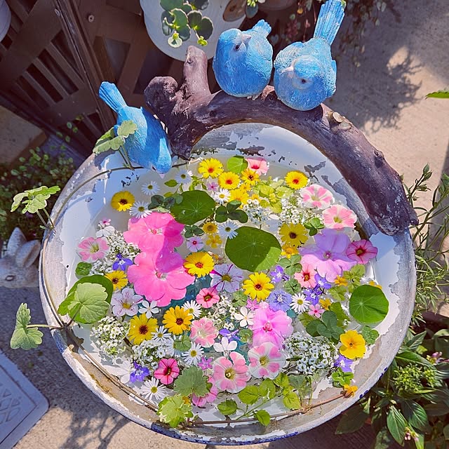 mocomocoさんの実例写真