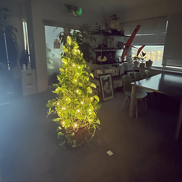 玄関/入り口のインテリア実例 - 2022-12-01 16:42:27