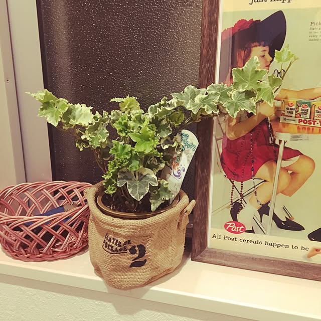 lunamamajunkoさんの実例写真