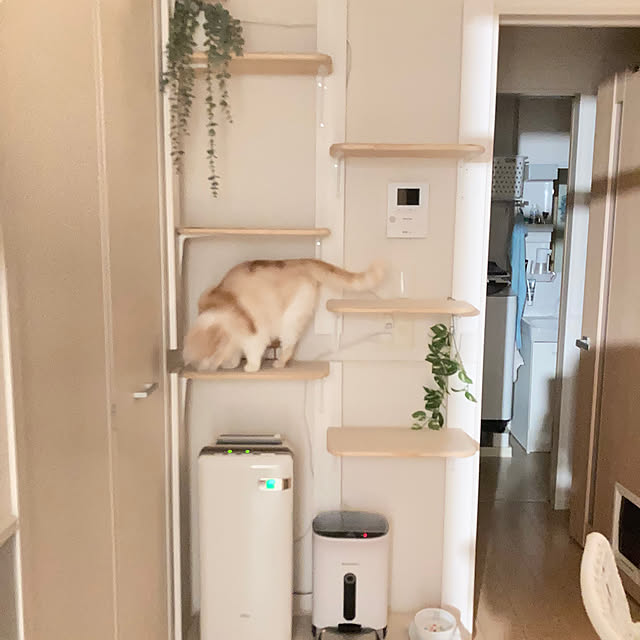 H.Tさんの部屋