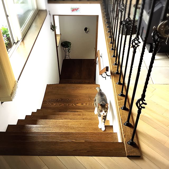 shio2772さんの実例写真