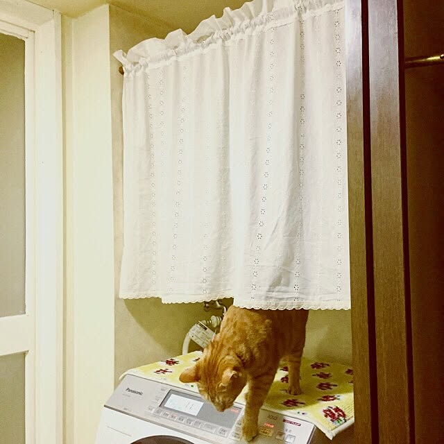 aknmamaさんの実例写真