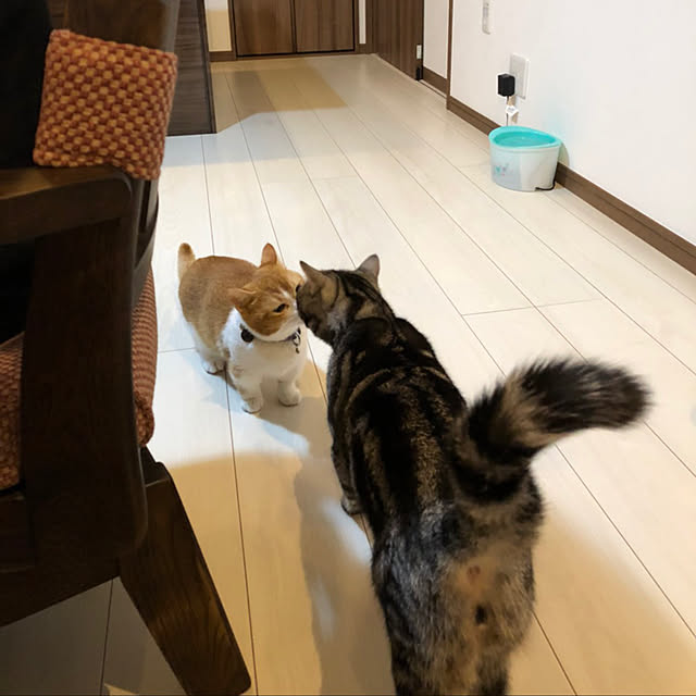 KotarouKunさんの実例写真