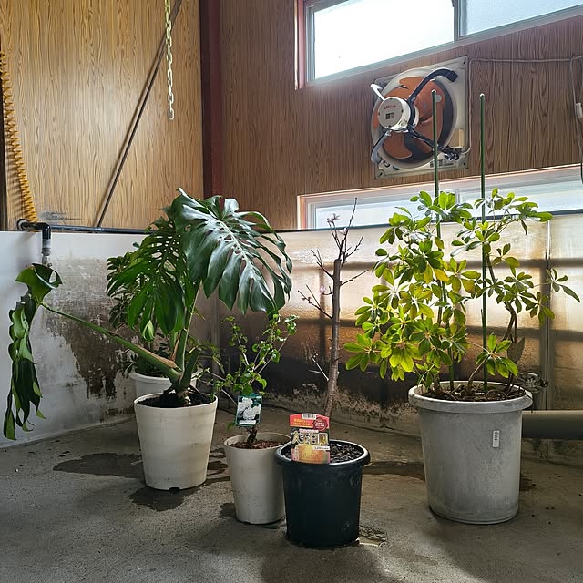 Rubiconさんの部屋