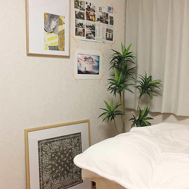 luciさんの実例写真
