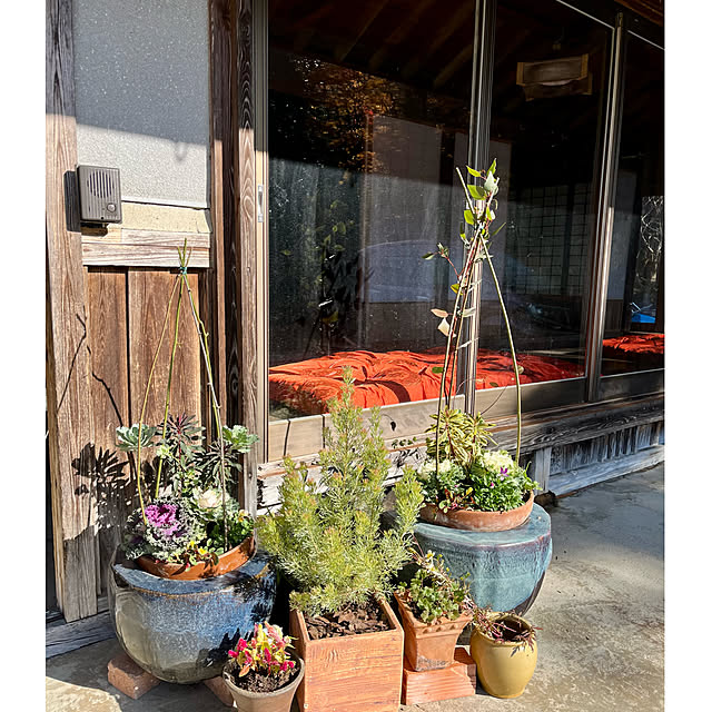 cotaさんの部屋
