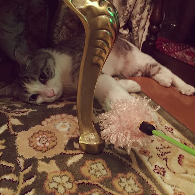 emmyyさんの実例写真