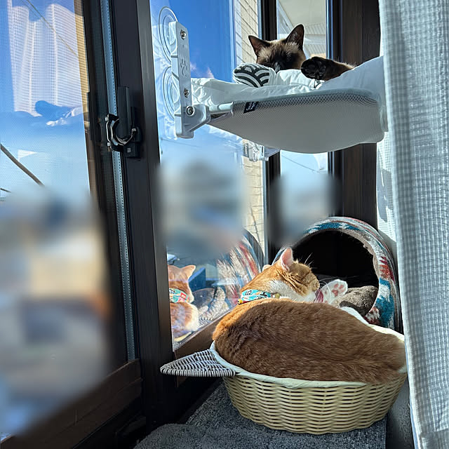 shi622さんの部屋