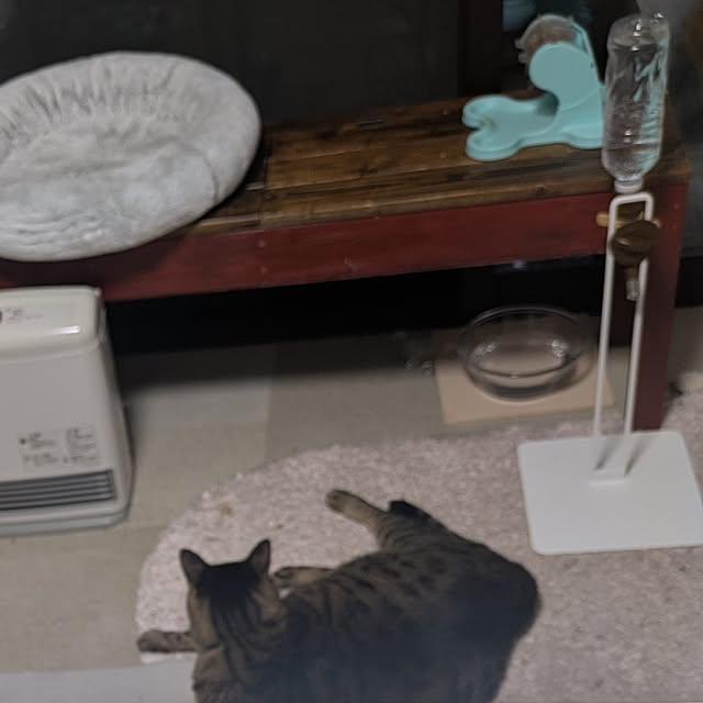 mori_6_12さんの実例写真