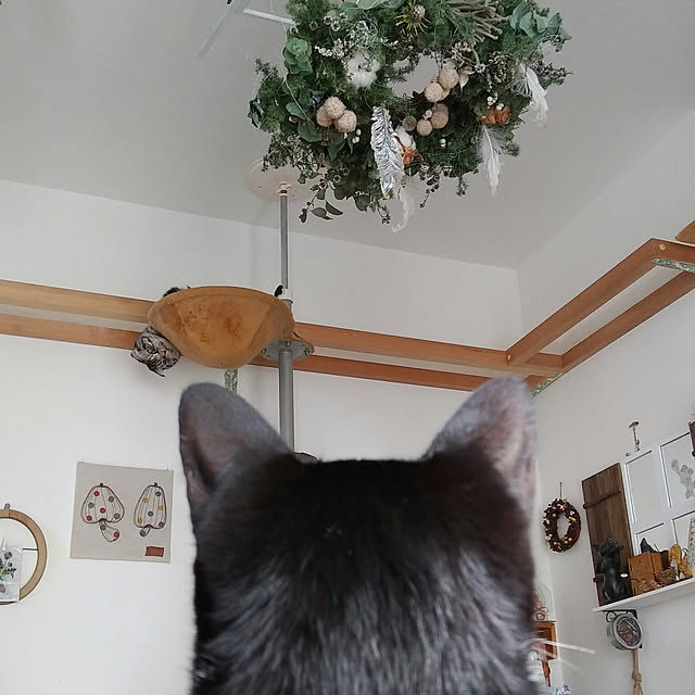 Gomaさんの実例写真