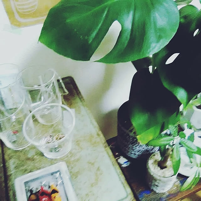 peace808さんの実例写真
