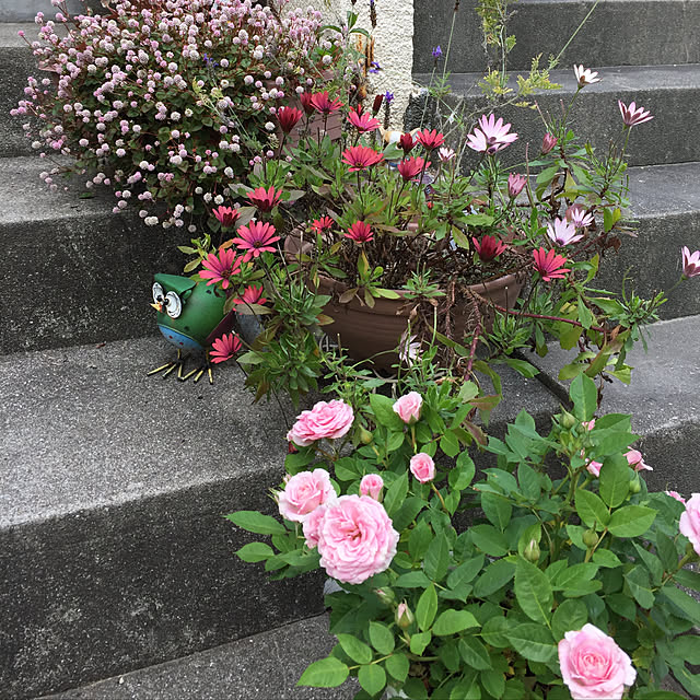 v.4ma-ma.0519さんの実例写真