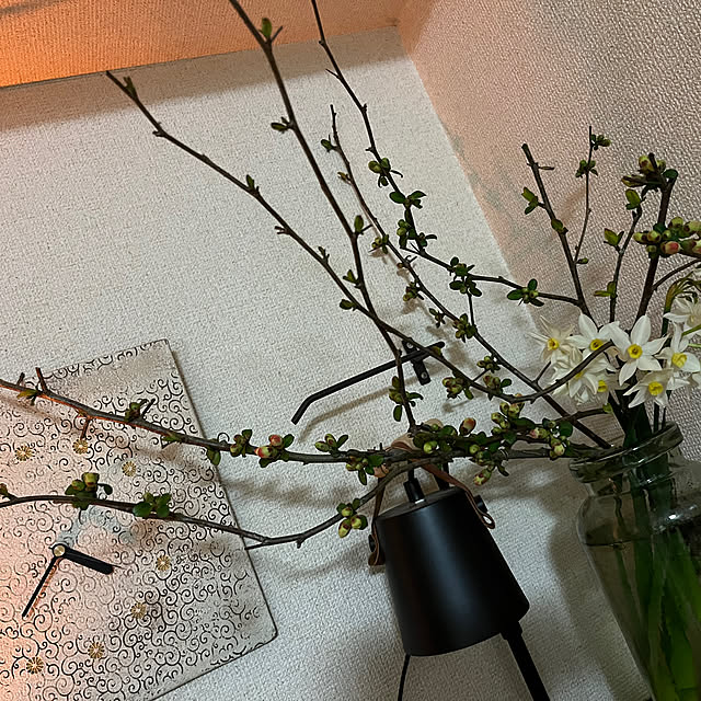 cagosukiさんの実例写真
