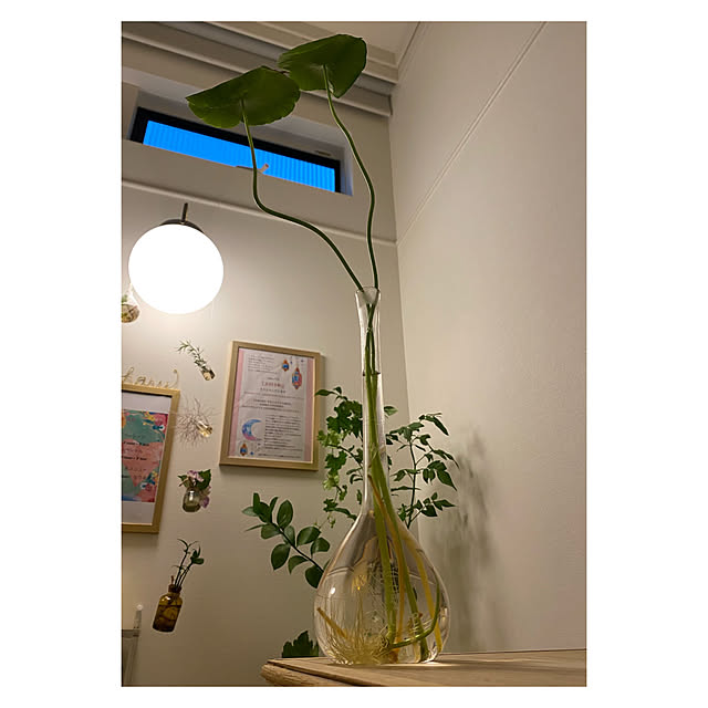 kozakura10さんの実例写真