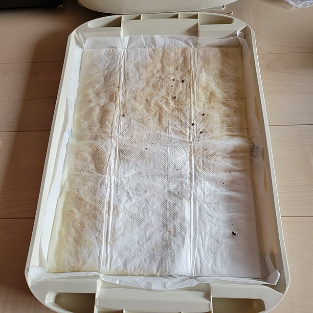 KimmieMouseさんの部屋