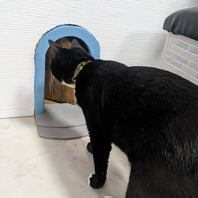 fuuujan10さんの実例写真