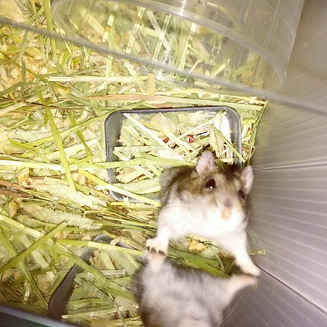 Esさんの実例写真