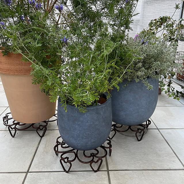 felicityさんの部屋