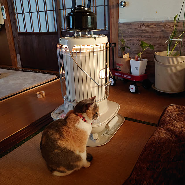 fukuさんの実例写真