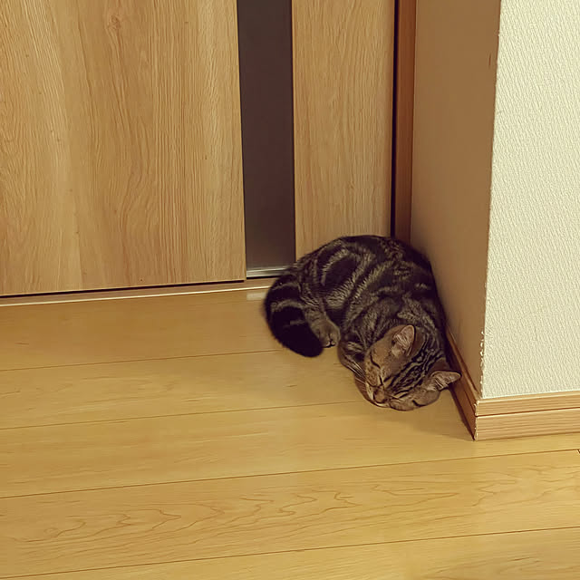 chiiさんの部屋