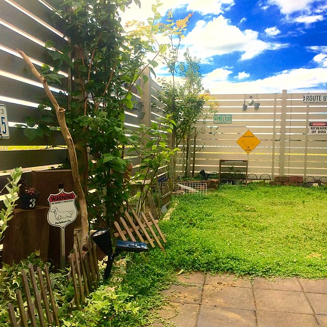 soraoさんの実例写真