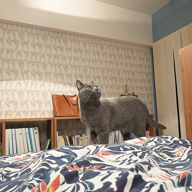 73さんの実例写真