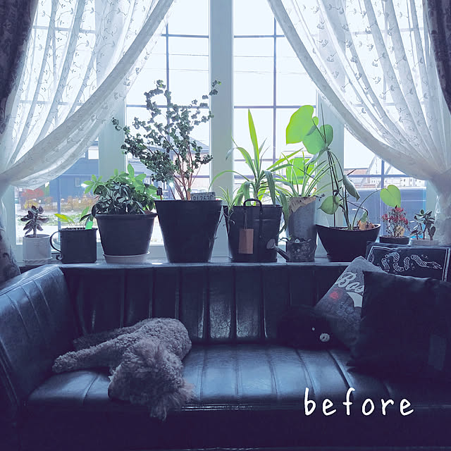 usagiさんの部屋